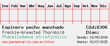 Estadisticas